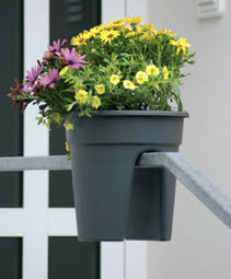 Blomster sæt m. 3 stk. / altan i hvid – Trueholm Sport