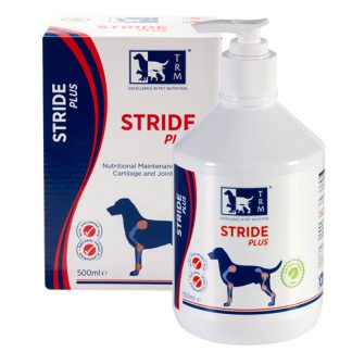 DogStride
